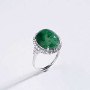 繁星晶翠 非洲翠 翡翠 珠寶 繁星珠寶 ＡotherJ 一靜 手鐲 高尚仁 王鑫